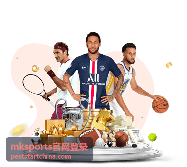 mksports官网登录 浏览器兼容性优化封面